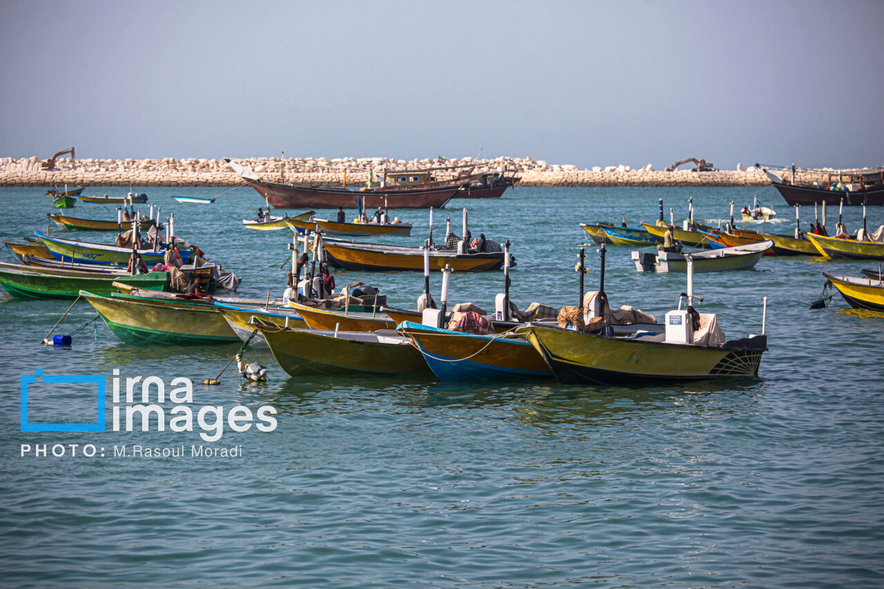 آغاز اجرای پروژه‌های بهسازی در ۱۷ بندر ماهیگیری کشور