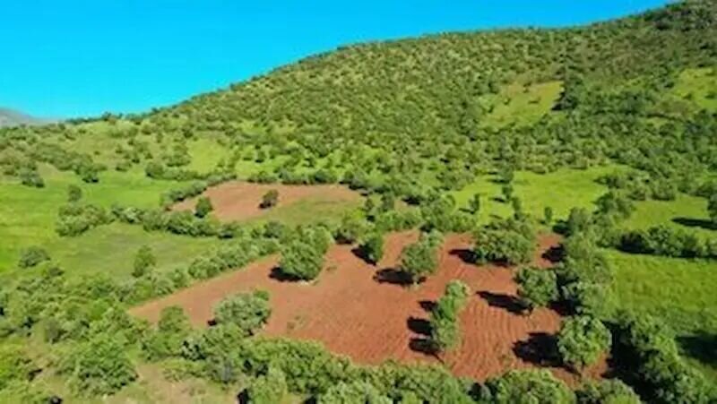 رفع تصرف بیش از ۳۵ هزار مترمربع از اراضی ملی به ارزش ۴۲۵ میلیارد در تالش