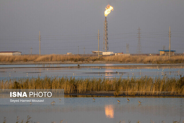 تاکید دادستان  خوزستان بر خاموشی سریع فلر «کریت کمپ» اهواز 