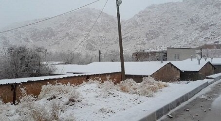 گزارشی از بارش رحمت الهی در سراسر استان کرمان + عکس و فیلم