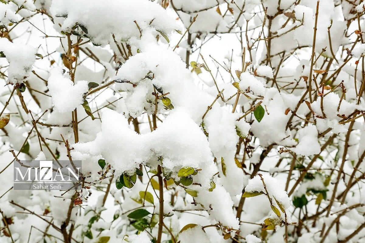 دمای پایین‌تر از نرمال در کشور حاکم می‌شود
