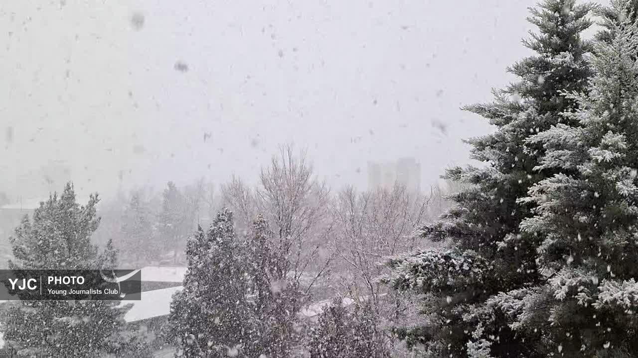 بارش برف، نبض زمستان در بام ایران را به صدا درآورد+فیلم
