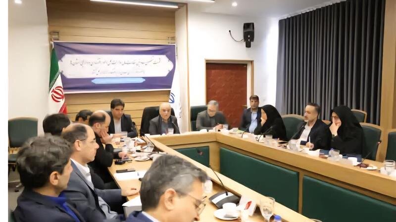 معاون وزیر اقتصاد: برنامه جامع مولدسازی دارایی‌های مازاد دولت در حال تدوین است