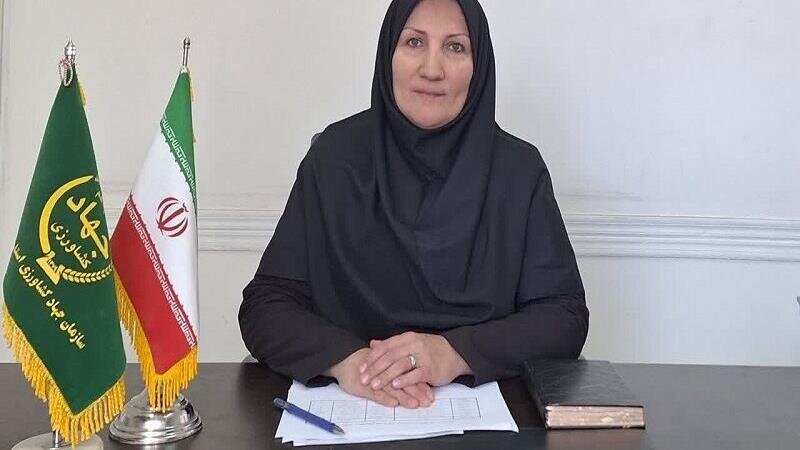 تولید سالانه بیش از یک میلیون قطعه ماهی زینتی در کردستان
