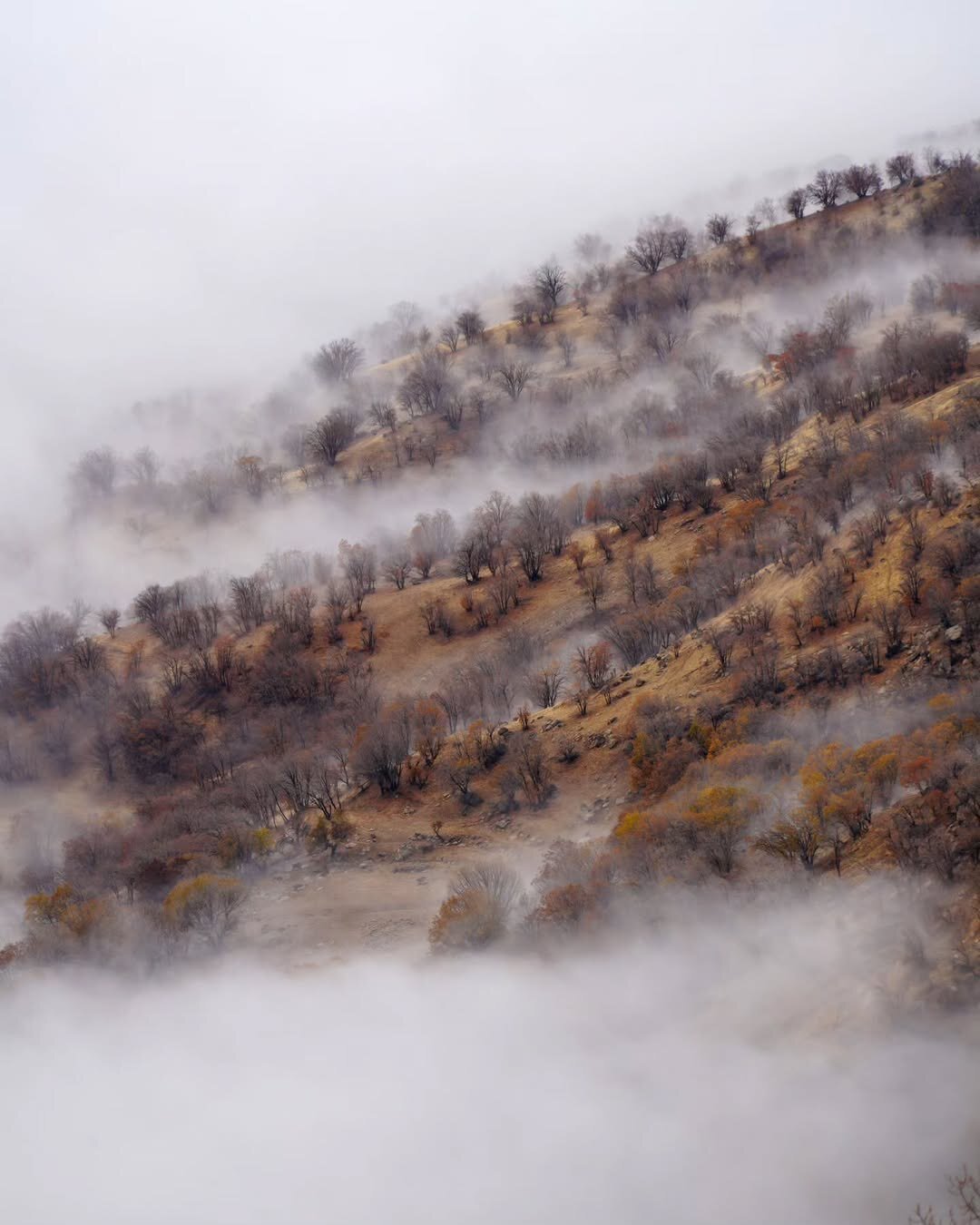 دریای ابر؛ لرستان زیبا