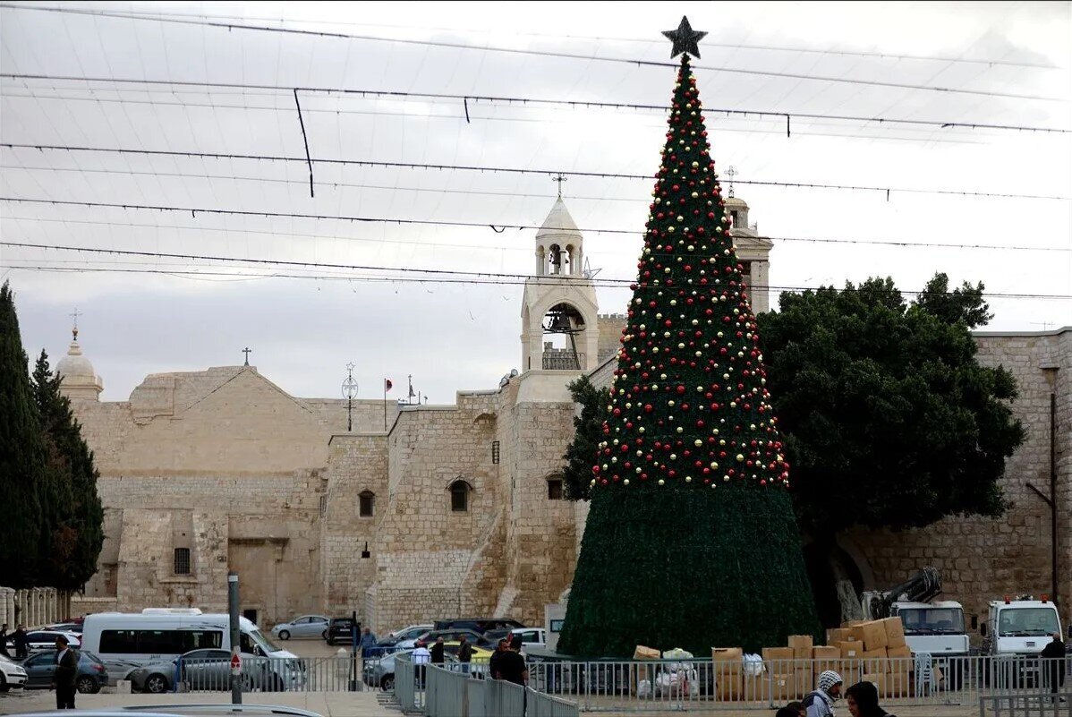 درخت مقاومت در جشن میلاد مسیح (ع)