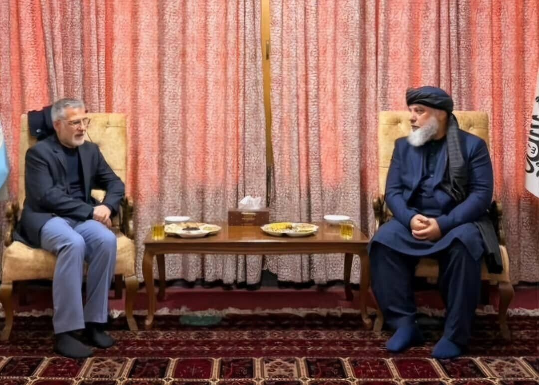 دیدار مدیر کل آسیای جنوبی وزارت امور خارجه با وزیر صنعت و تجارت افغانستان