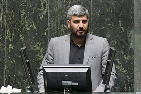 خزایی: مجلس اجازه کاهش بودجه دستگاههای فرهنگی را نخواهد داد