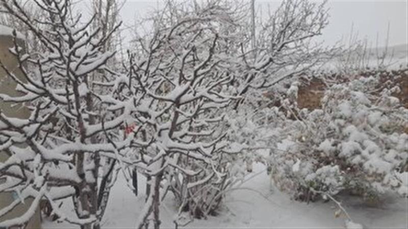 سفید پوش شدن استان یزد