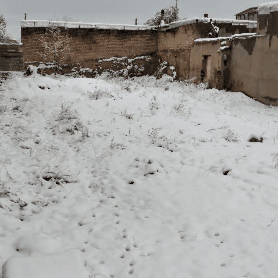 بارش برف در اشترینان