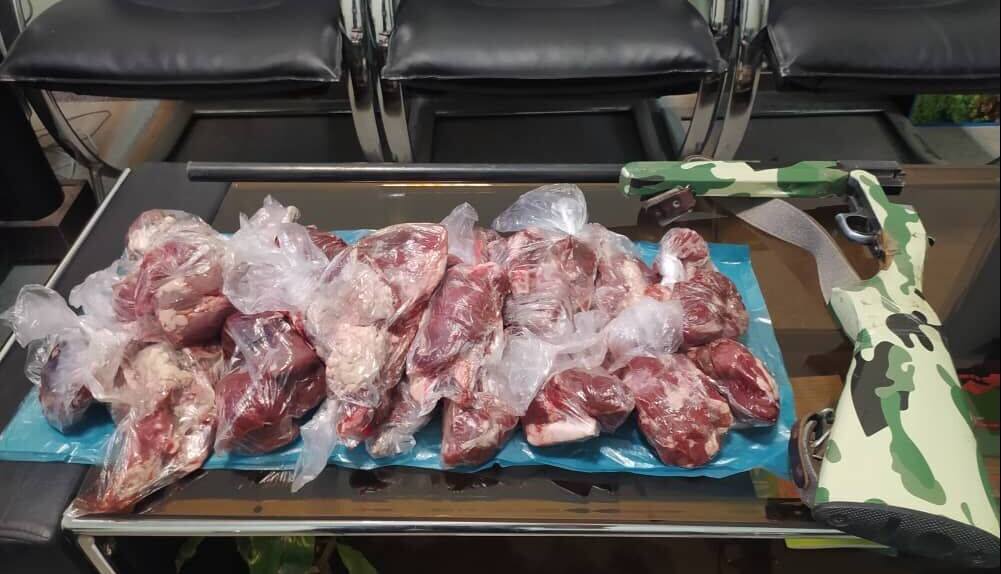 لاشه ۲ راس کل و بز وحشی از شکارچی غیرمجاز در چهارمحال و بختیاری کشف شد