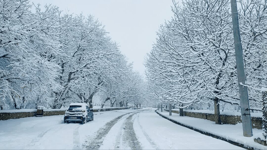 سپیدی آرامش بر بام فارس
