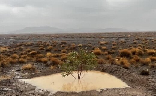 ادامه بارشها در خراسان جنوبی و آبگیری سازههای آبخیزداری + فیلم و تصاویر