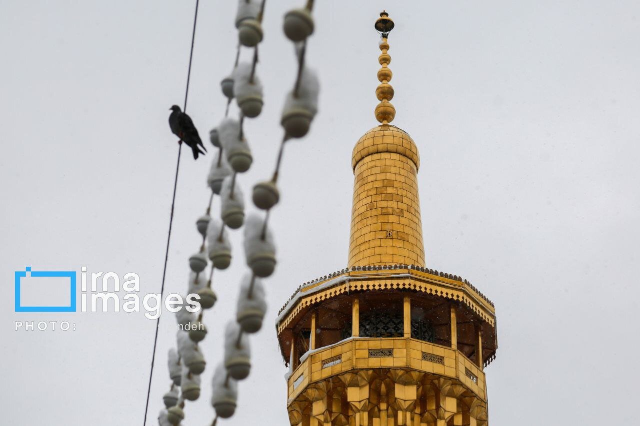 عکس/چهره برفی حرم امام رضا (ع)