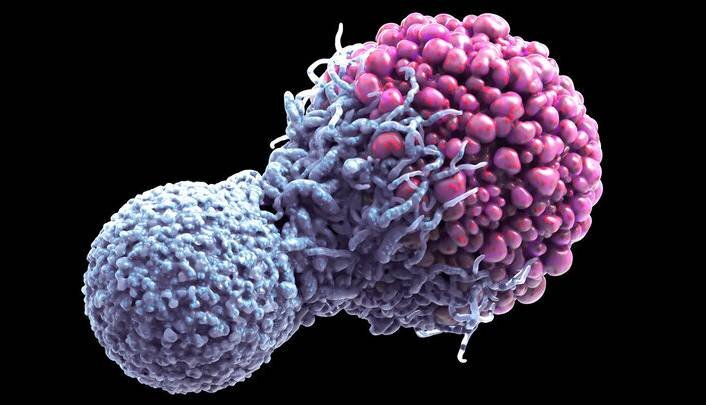 کشف مرگ سلولی میتواند به درمان سرطان کمک کند