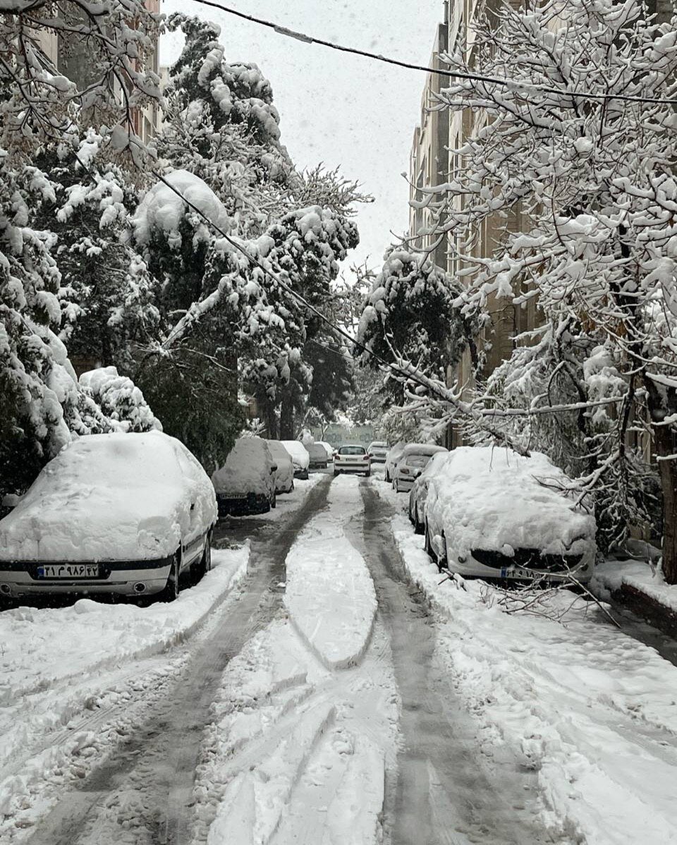 عکس/ تصاویر رویایی از برف مشهد