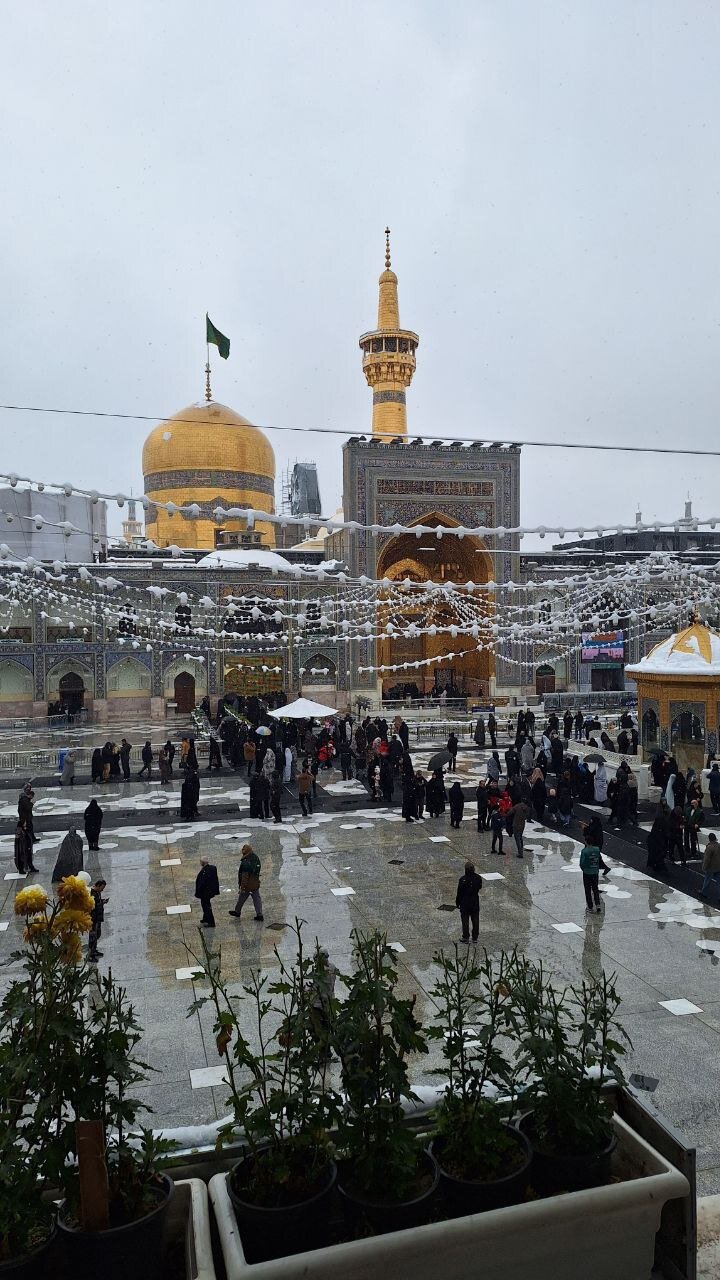 تصاویر برفی از امروز حرم رضوی
