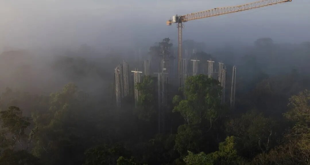 قاب‌هایی شگفت‌انگیز از دنیای نادیدنی‌ها