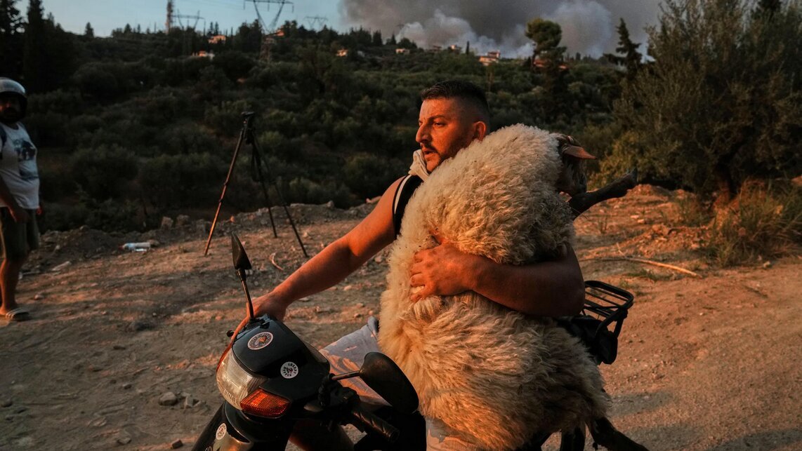 قاب‌هایی شگفت‌انگیز از دنیای نادیدنی‌ها