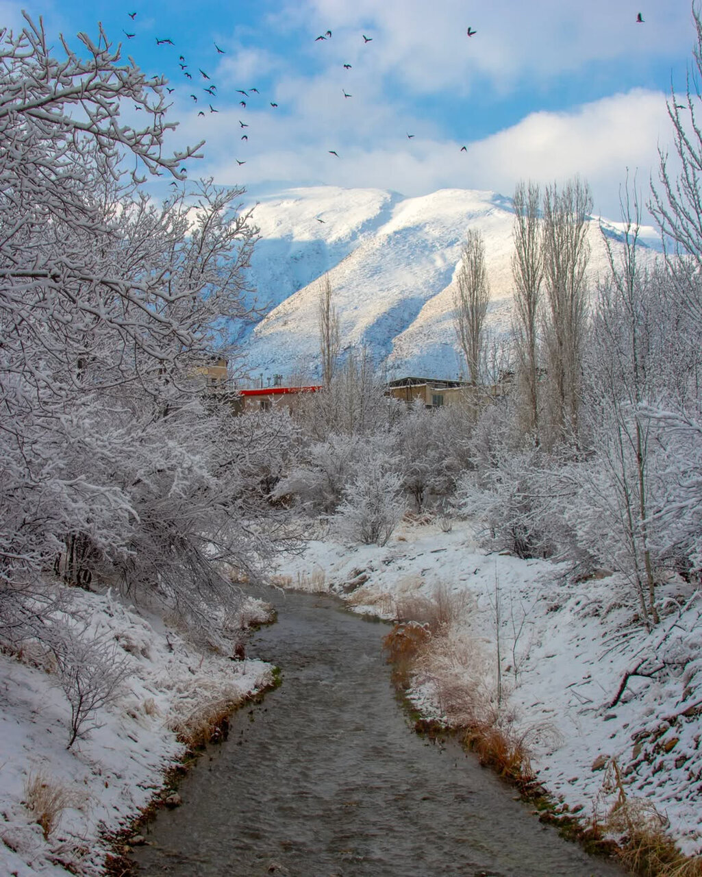 پالتوی برفی بر تن ایران