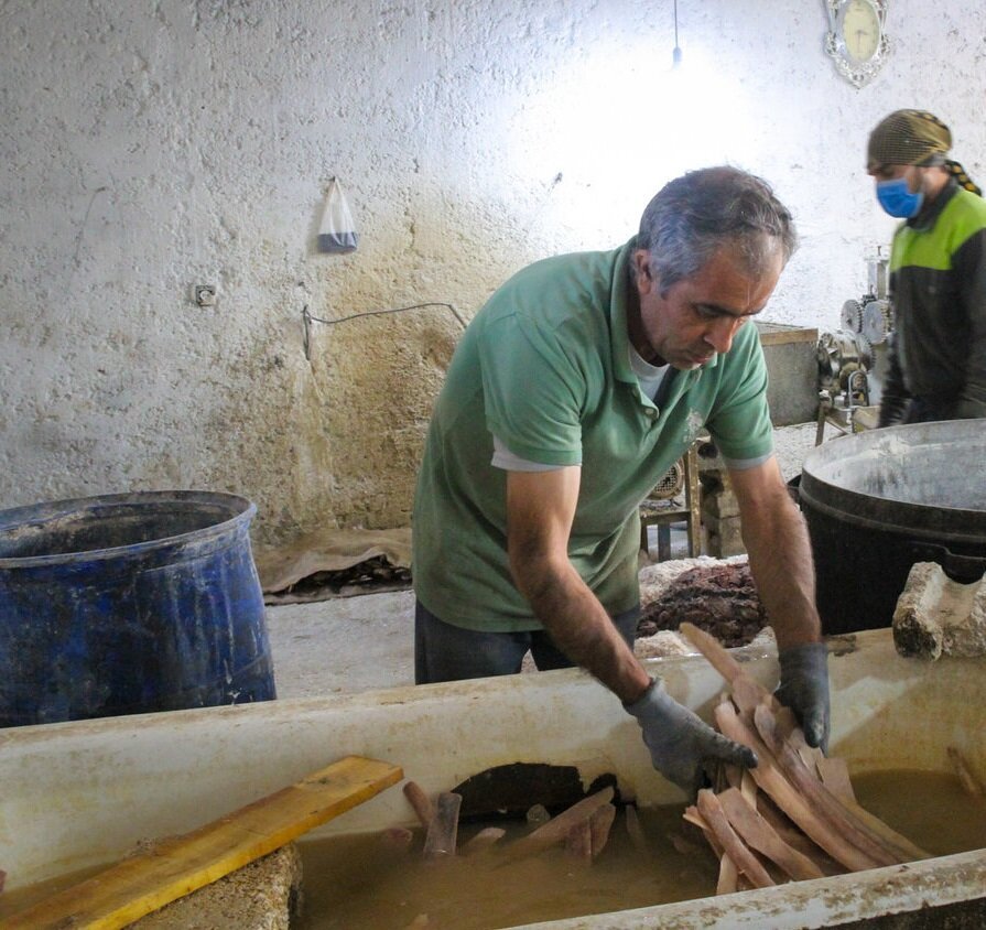 هنرنمایی با دنده گاو