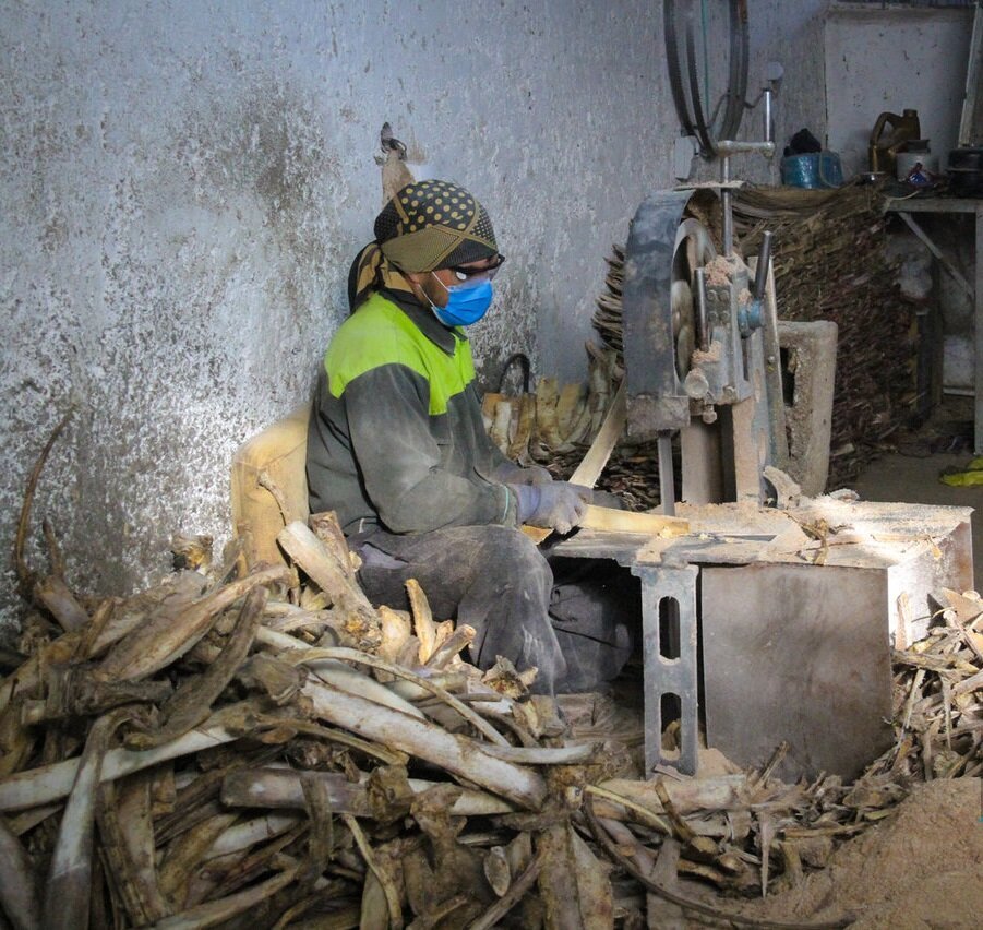 هنرنمایی با دنده گاو