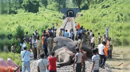برخورد قطار مسافربری با گله بزرگ فیل‌ها در شمال‌شرق هند