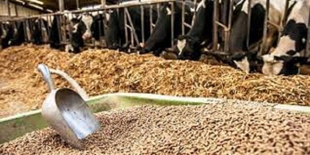 نحوه استفاده از پسماندهای کارخانجات در بهبود تغذیه دام در ایلام