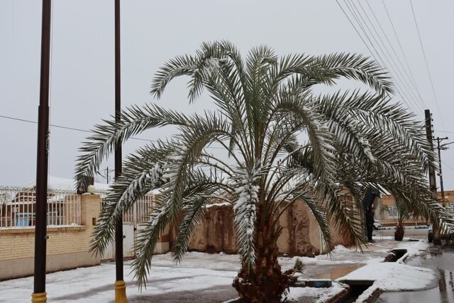 بارش برف و باران در برخی استان‌ها