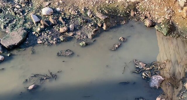 همچنان بخشی از فاضلاب شهر بندرعباس به خلیج فارس میریزد