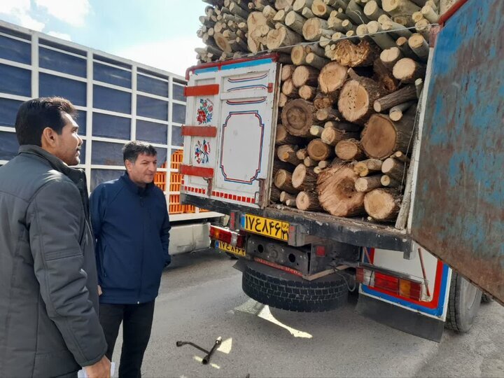 کشف محموله قاچاق چوب بید در کامیاران