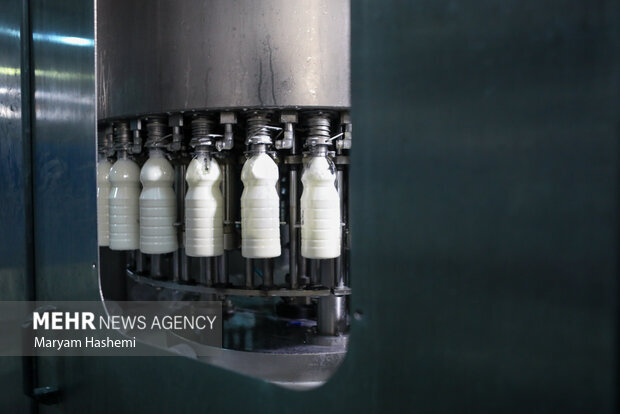 قیمت برخی اقلام لبنی در دی ماه کاهش مییابد