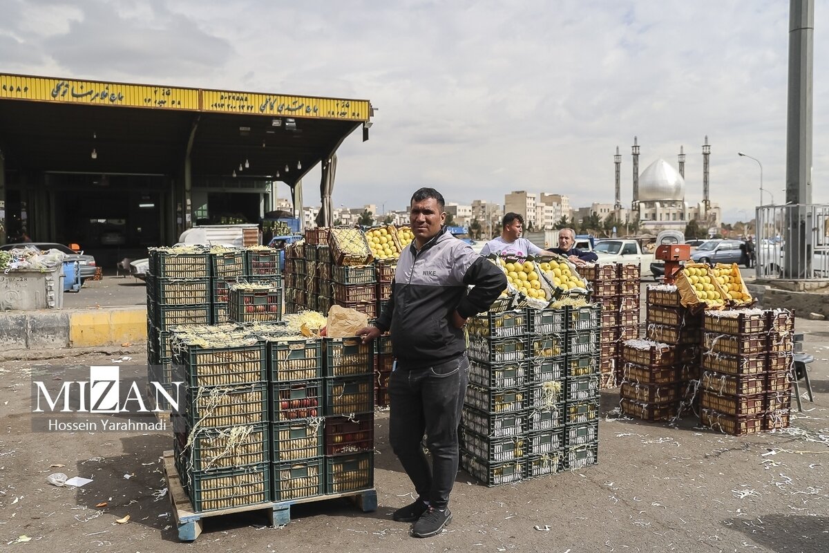 هشدار سازمان بازرسی به مدیران عامل فروشگاه‌های شهروند و سازمان میادین میوه و تره بار شهرداری تهران