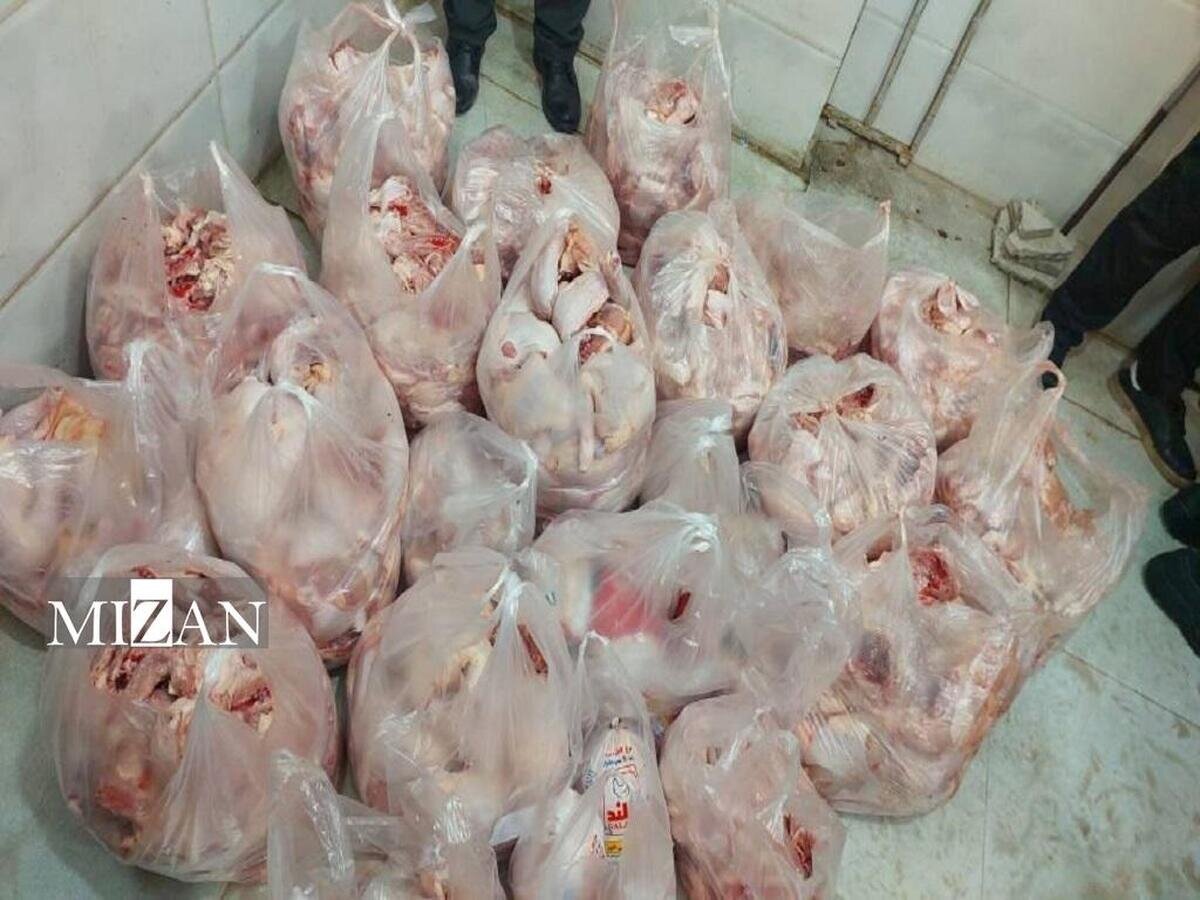 یک تُن مرغ دولتی عرضه‌شده با قیمت آزاد در گنبدکاووس کشف شد