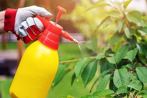 آفتکشها میکروبهای مفید روده را به خطر میاندازند