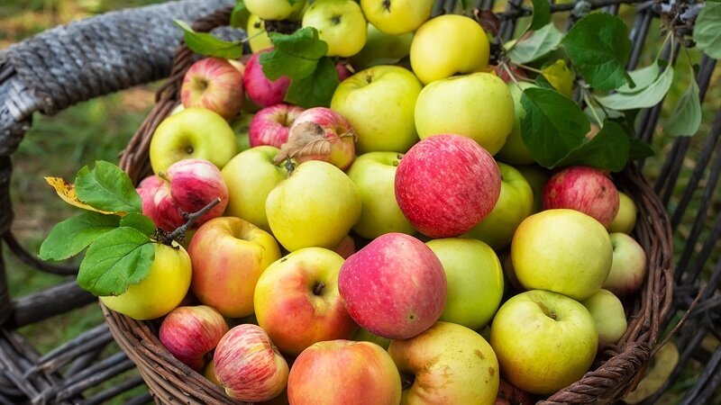 ۷ خوراکی قدرتمند که سرطان را دور میکند