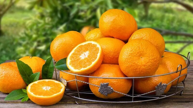 ۷ خوراکی قدرتمند که سرطان را دور میکند