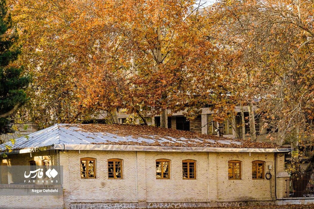 آخرین برگ‌ریزان‌های پائیزی خرم‌آباد