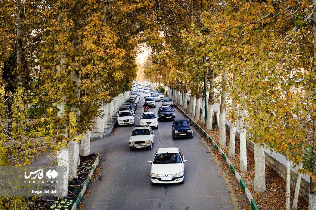 آخرین برگ‌ریزان‌های پائیزی خرم‌آباد