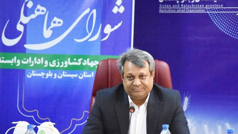 ضرورت تقویت پژوهش‌های کاربردی کشاورزی برای خودکفایی غذایی