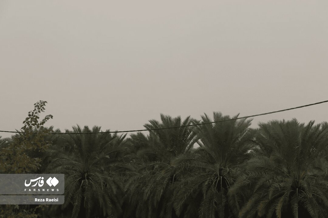 آسمان خاکستری جم