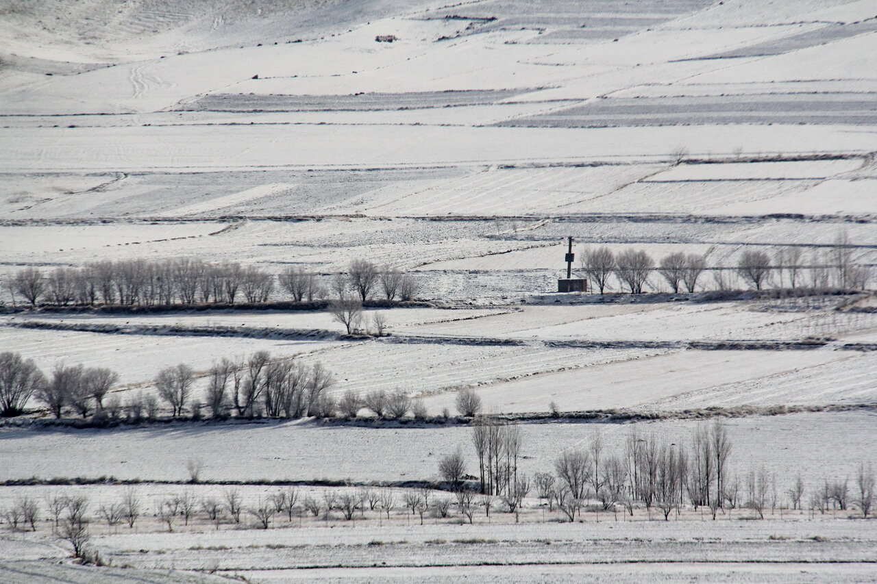 پیش‌بینی بارش جدید | روزهای دوشنبه و سه‌شنبه این استان‌ها منتظر باشند |  پربارش‌ترین استان های کشور در هفته جاری