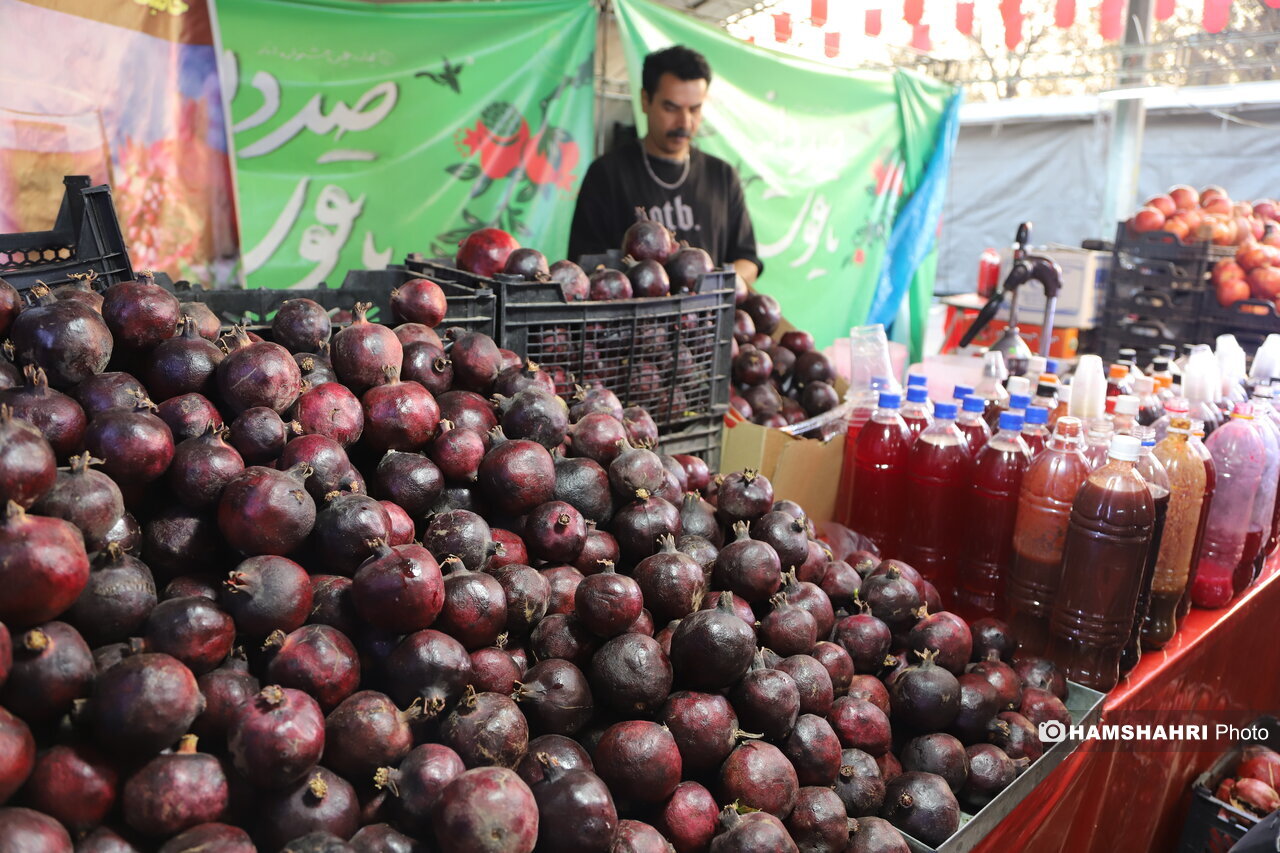 استقبال از یلدا با «صددانه‌یاقوت»