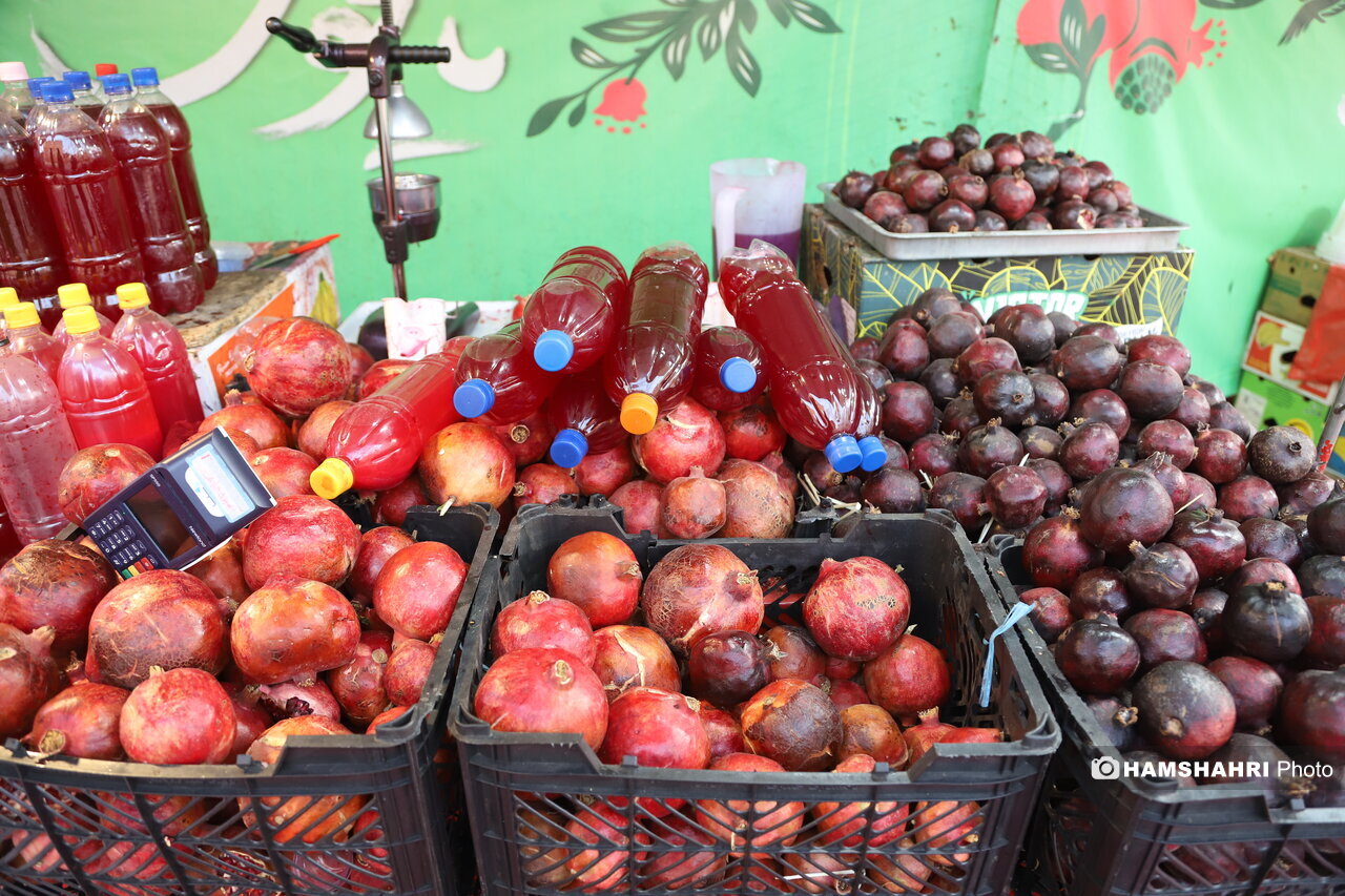 استقبال از یلدا با «صددانه‌یاقوت»