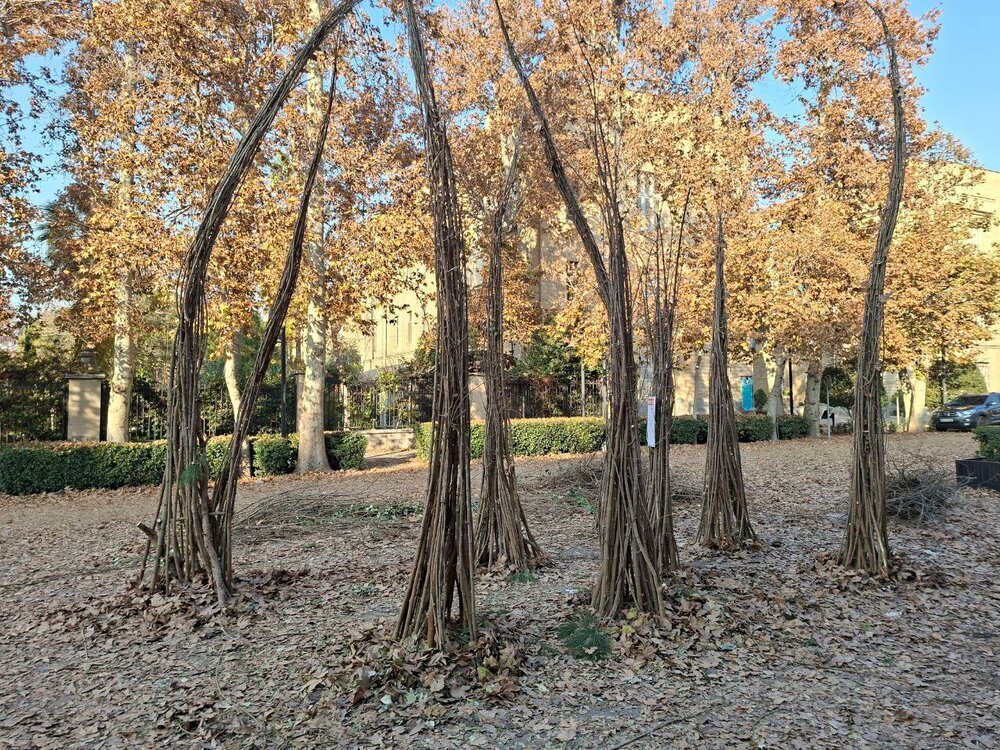 آخرین روز پاییز در وزارت خارجه 