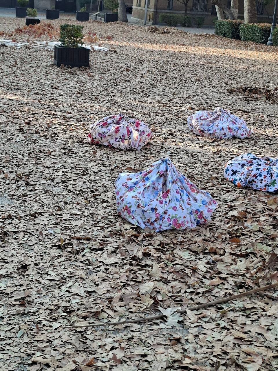 آخرین روز پاییز در وزارت خارجه 