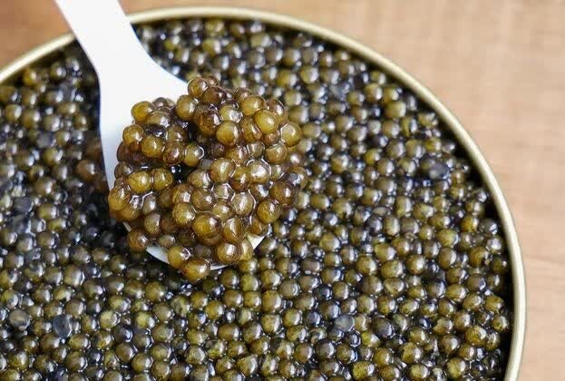 خاویار ایرانی همچنان پرطرفدار در بازارهای جهانی