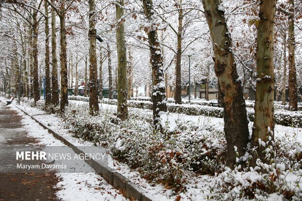 فعالیت آخرین موج بارشی در کشور؛ بارش‌های پراکنده و موقتی در ۵ استان