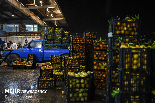 بازدید مدیرعامل سازمان تعاون روستایی ازوضعیت میوه شب یلدا در میدان بار