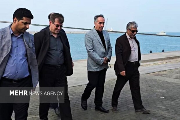 حسینی: کنترل دقیق نهادههای دامی پیش از ورود به چرخه تولید ضرورت دارد